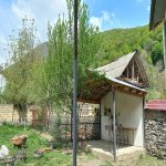 Kirayə (günlük) 3 otaqlı Həyət evi/villa Qəbələ 8