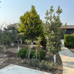 Satılır 4 otaqlı Həyət evi/villa, Buzovna, Xəzər rayonu 17
