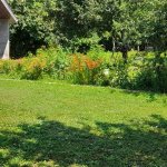 Kirayə (günlük) 4 otaqlı Həyət evi/villa Qax 12