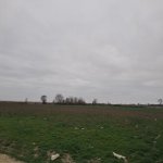 Satılır Torpaq Xaçmaz 2
