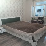 Аренда 1 комнатная Вторичка, м. Нефтчиляр метро, Сабунчу район 11