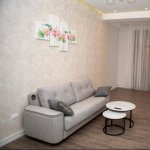 Kirayə (aylıq) 2 otaqlı Yeni Tikili, 28 May metrosu, Kubinka, Nəsimi rayonu 2