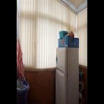 Kirayə (aylıq) 2 otaqlı Köhnə Tikili, İnşaatçılar metrosu, Yasamal qəs., Yasamal rayonu 15