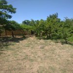 Satılır 3 otaqlı Bağ evi Sumqayıt 11