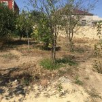 Satılır Torpaq, Masazır, Abşeron rayonu 3