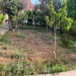 Satılır Torpaq, Novxanı, Abşeron rayonu 1