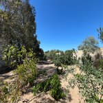 Продажа 8 комнатная Дача, м. Короглу метро, Сабунчу район 26