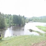 Kirayə (aylıq) 4 otaqlı Bağ evi Şamaxı 9