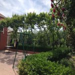 Kirayə (aylıq) 7 otaqlı Həyət evi/villa, Binəqədi rayonu 13