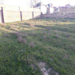 Satılır Torpaq, Saray, Abşeron rayonu 5