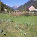 Satılır Torpaq İsmayıllı 2