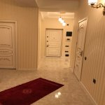 Kirayə (aylıq) 3 otaqlı Yeni Tikili, Nərimanov rayonu 18