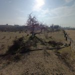 Satılır Torpaq, Kürdəxanı qəs., Sabunçu rayonu 4