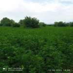 Продажа Участок Огуз 2