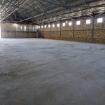 Kirayə (aylıq) Obyekt, Araz kinoteatrı, Abşeron rayonu 1