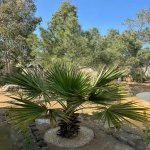 Satılır 4 otaqlı Həyət evi/villa, Mərdəkan, Xəzər rayonu 6