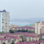 Kirayə (aylıq) 3 otaqlı Yeni Tikili Sumqayıt 29