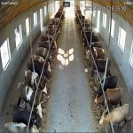 Продажа Объект Хачмаз 54