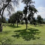 Satılır Torpaq İsmayıllı 5