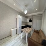 Kirayə (aylıq) 2 otaqlı Yeni Tikili, İnşaatçılar metrosu, Yeni Yasamal qəs., Yasamal rayonu 8
