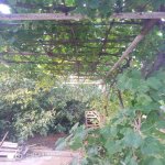 Satılır 3 otaqlı Həyət evi/villa Sumqayıt 5