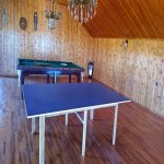 Kirayə (günlük) 6 otaqlı Bağ evi, Buzovna, Xəzər rayonu 18