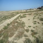 Satılır Torpaq, Məhəmmədli, Abşeron rayonu 5