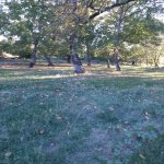 Satılır 3 otaqlı Həyət evi/villa Oğuz 15