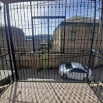 Kirayə (aylıq) 3 otaqlı Həyət evi/villa, Yasamal rayonu 20