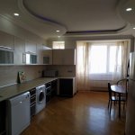 Kirayə (günlük) 4 otaqlı Yeni Tikili, 28 May metrosu, Nəsimi rayonu 11