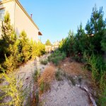 Satılır Torpaq, Novxanı, Abşeron rayonu 13