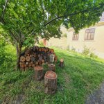 Kirayə (günlük) 3 otaqlı Həyət evi/villa Qəbələ 6