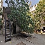 Kirayə (aylıq) Obyekt, Nəriman Nərimanov metrosu, Nərimanov rayonu 15