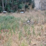Продажа Участок, м. Нариман Нариманов метро, пос. Монтин, Наримановский р-н район 1