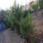 Satılır 4 otaqlı Həyət evi/villa Quba 14