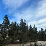Продажа Участок, Гала, Хязяр район 9