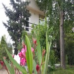 Продажа 10 комнатная Дома/Виллы Сиязан 4