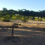 Satılır Torpaq, Abşeron rayonu 15