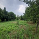 Satılır Torpaq İsmayıllı 3