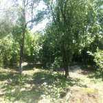 Satılır 4 otaqlı Bağ evi Qusar 22