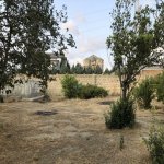 Satılır Torpaq, Saray, Abşeron rayonu 4