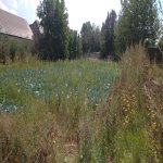 Продажа Участок Гядябяй 6