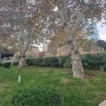 Kirayə (aylıq) 1 otaqlı Köhnə Tikili, İçərişəhər metrosu, Səbail rayonu 7