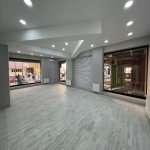 Kirayə (aylıq) Obyekt, Nəsimi metrosu, Nəsimi rayonu 1