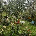 Kirayə (günlük) 4 otaqlı Bağ evi Qax 12