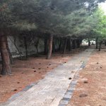 Kirayə (aylıq) 8 otaqlı Bağ evi, Bilgəh qəs., Sabunçu rayonu 12