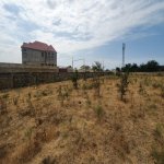 Satılır Torpaq, Novxanı, Abşeron rayonu 2