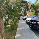 Kirayə (aylıq) 3 otaqlı Köhnə Tikili, Xalqlar dostluğu metrosu, Nizami rayonu 1
