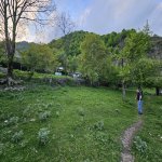 Satılır Torpaq Qəbələ 2