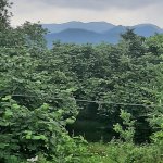 Kirayə (günlük) 3 otaqlı Həyət evi/villa Qəbələ 9